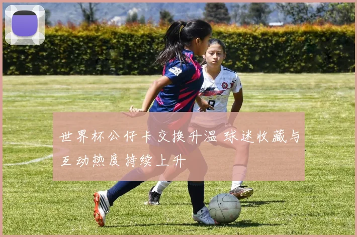 世界杯公仔卡交换升温 球迷收藏与互动热度持续上升