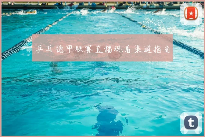 乒乓德甲联赛直播观看渠道指南