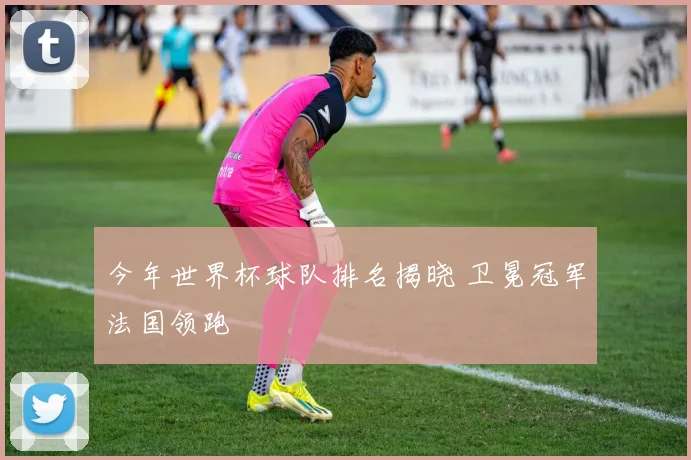 今年世界杯球队排名揭晓 卫冕冠军法国领跑