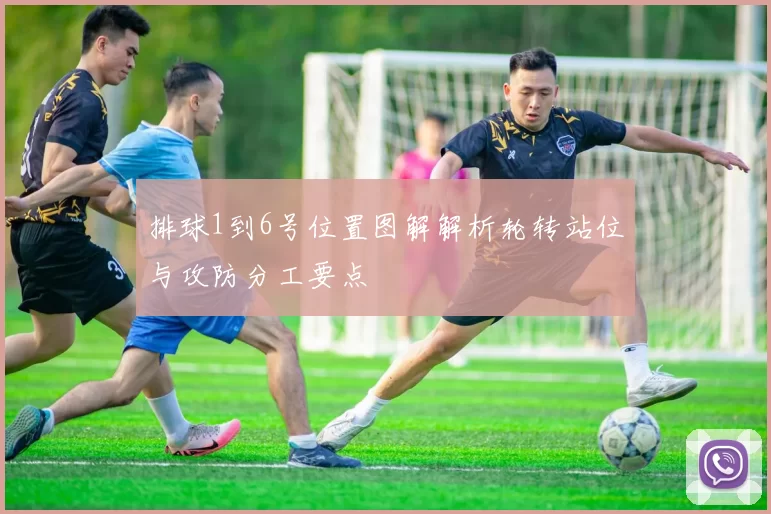 排球1到6号位置图解解析轮转站位与攻防分工要点