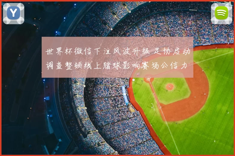 世界杯微信下注风波升级 足协启动调查整顿线上赌球影响赛场公信力