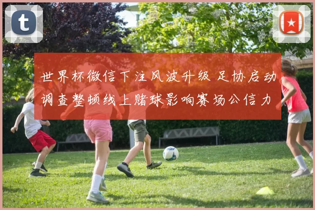 世界杯微信下注风波升级 足协启动调查整顿线上赌球影响赛场公信力