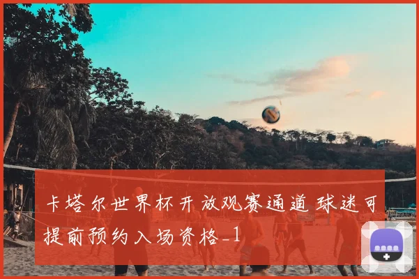 卡塔尔世界杯开放观赛通道 球迷可提前预约入场资格_1