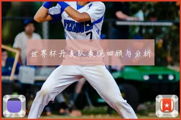 世界杯丹麦队表现回顾与分析