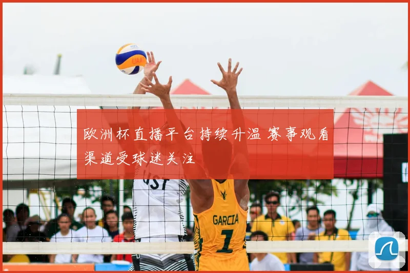 欧洲杯直播平台持续升温 赛事观看渠道受球迷关注