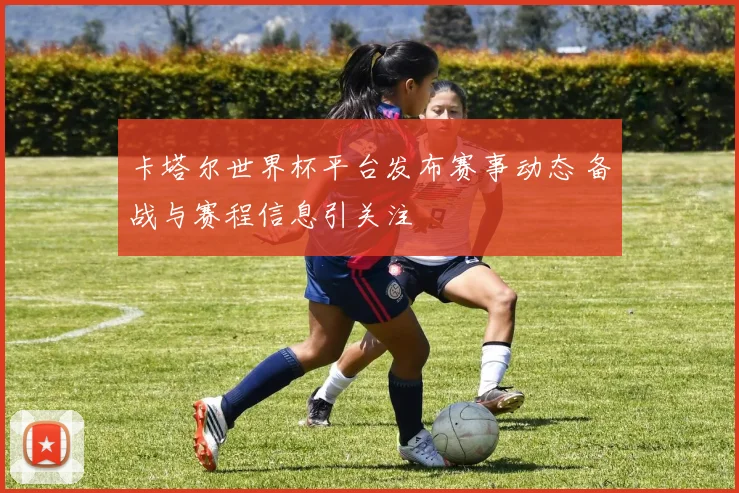 卡塔尔世界杯平台发布赛事动态 备战与赛程信息引关注