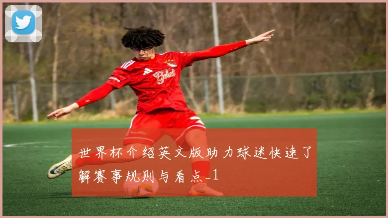世界杯介绍英文版助力球迷快速了解赛事规则与看点_1