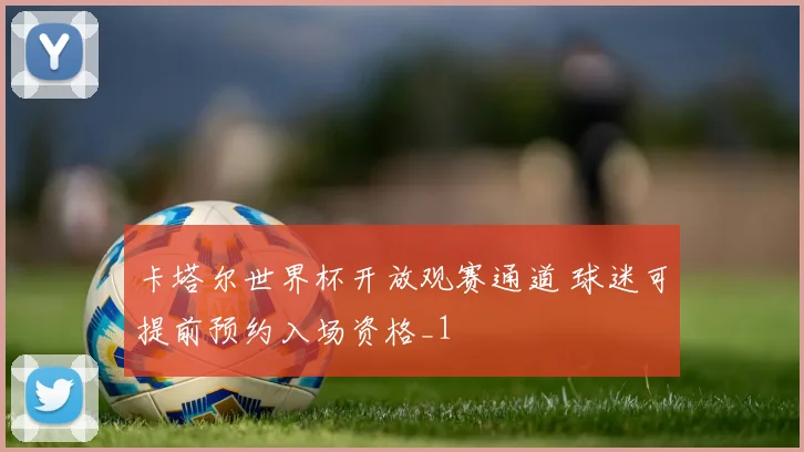 卡塔尔世界杯开放观赛通道 球迷可提前预约入场资格_1